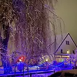 موتيل Riedwirtshaus أولم